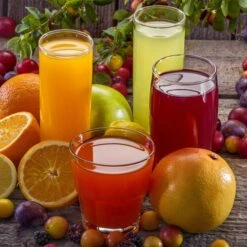 Fruchtsaftpresse - Manuell -Ausgewählte Küchengeschäfte 636846174454043353 74af