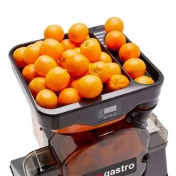 Elektrische Fruchtsaftpresse - Orange - Manuelle Zufuhr -Ausgewählte Küchengeschäfte OBZ detail insertion tube 858b