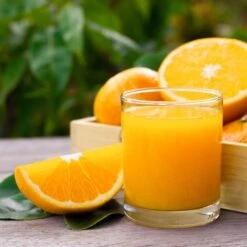 Elektrische Fruchtsaftpresse - Orange - Manuelle Zufuhr - Inkl. Regulierbarem Ablasshahn -Ausgewählte Küchengeschäfte detail orange juice da7c 6