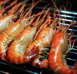 Elektrogrill - 4 KW -Ausgewählte Küchengeschäfte egb473b detail2 936c