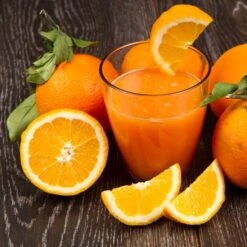 Orangenpresse -Ausgewählte Küchengeschäfte orangensaft52 d7fb